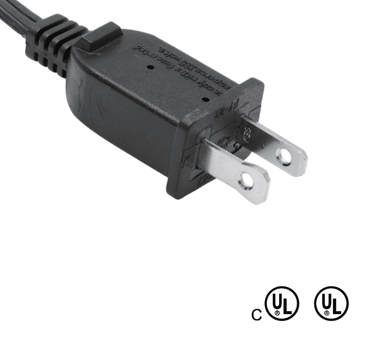 FY-2R 13A 125V Two-Pin American Standard Plug With Fuse